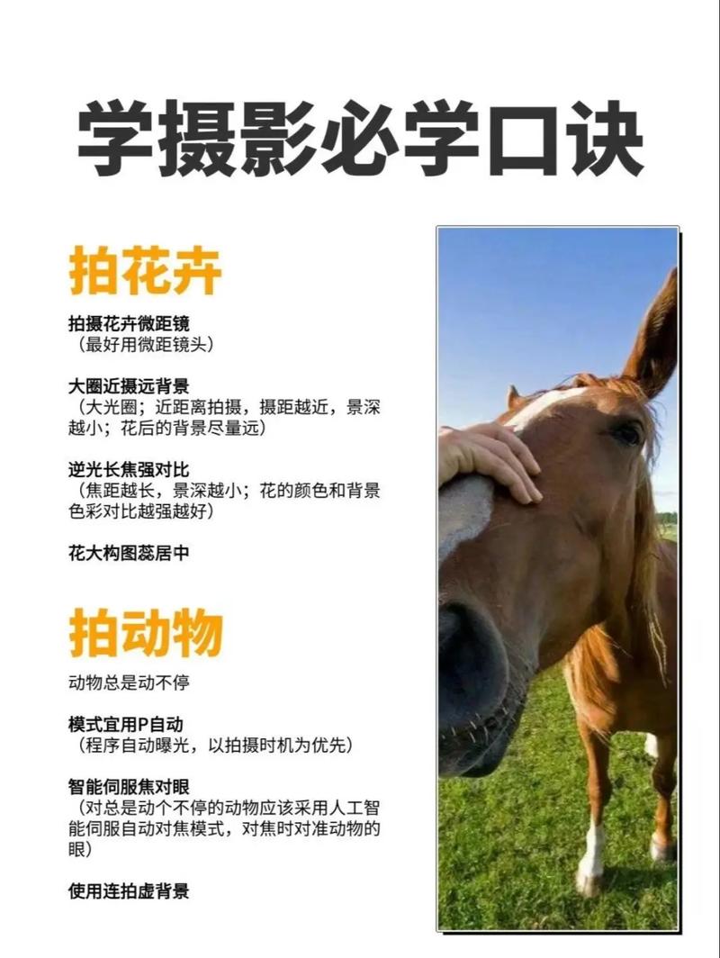 摄影教学-日常/商用/婚庆/街头拍摄手法